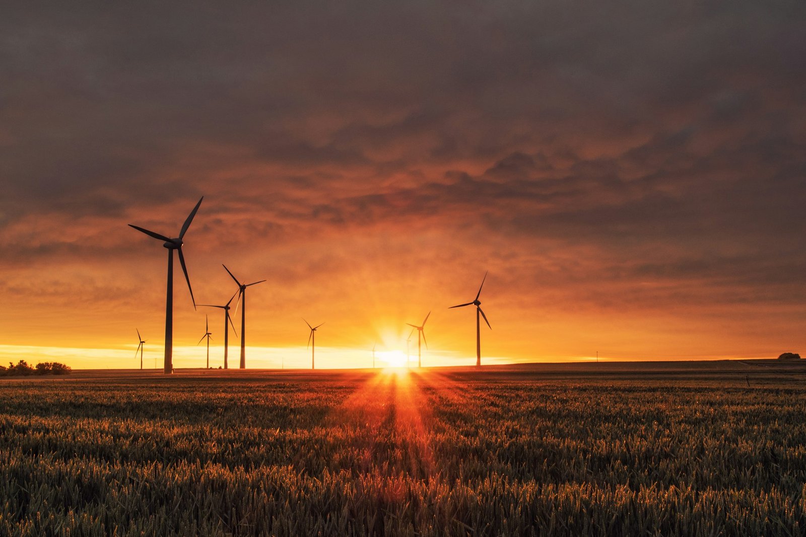Wind turbines in formation — operational infrastructure at scale.